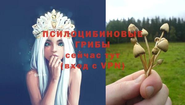 сатива Пролетарск