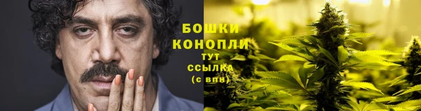 ГАЛЛЮЦИНОГЕННЫЕ ГРИБЫ Алексеевка